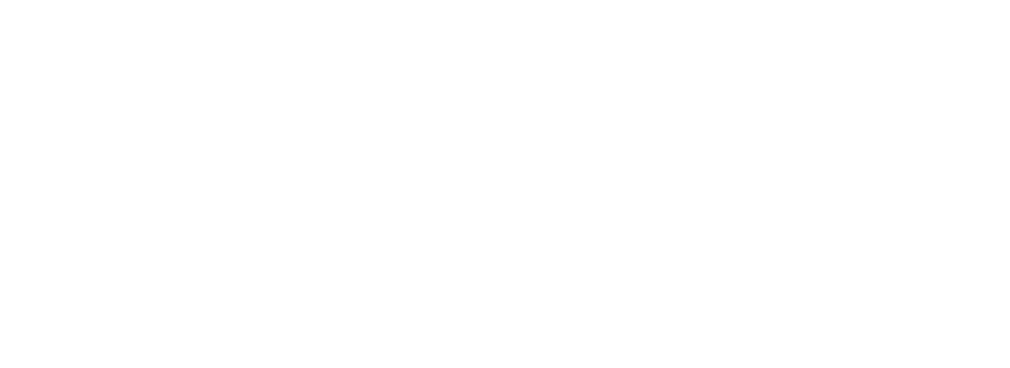 vp logo